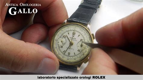 gallo rolex crotone